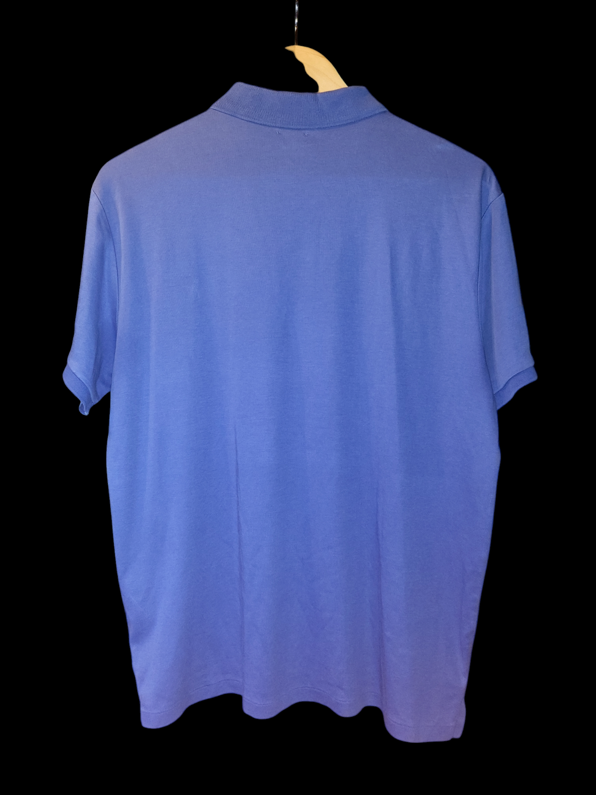 Pre-Loved Ralph Lauren Slim Fit polo - (PL289)