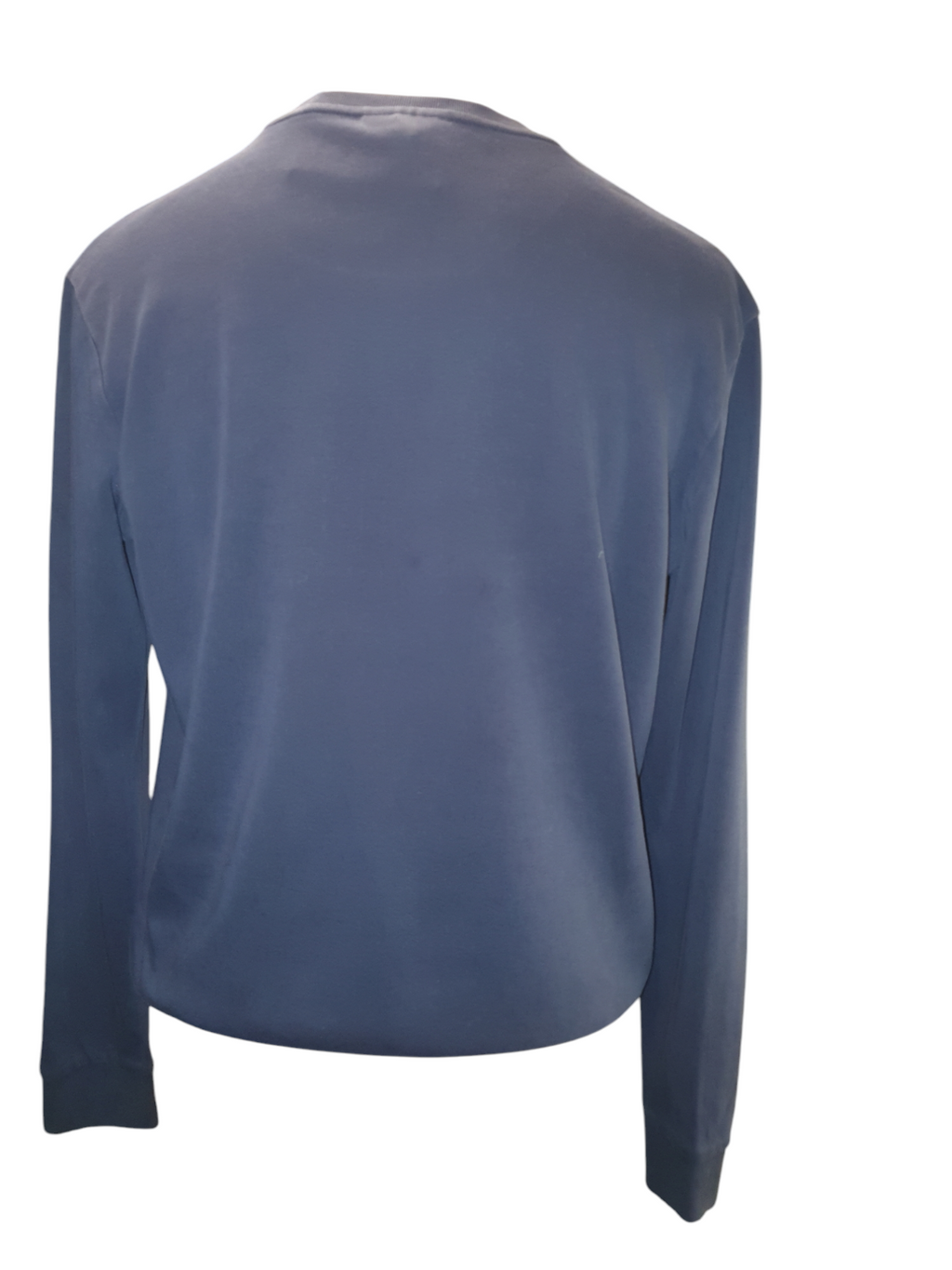 Back view of a blue long sleeve designer men's sweatshirt on plain background